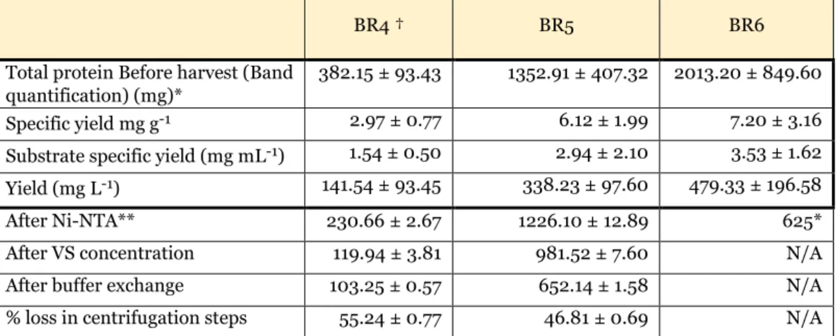 Table 5 | Yields from the last three bioreactor runs (BR4-6). Protein content  was quantified before harvesting with SDS-PAGE band quantification