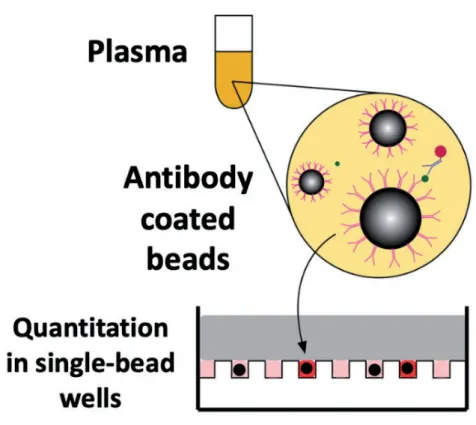 Figure 2.  Single-molecule array (SIMOA) methodology is based on binding the target  analyte on antibody-coated microscopic beads