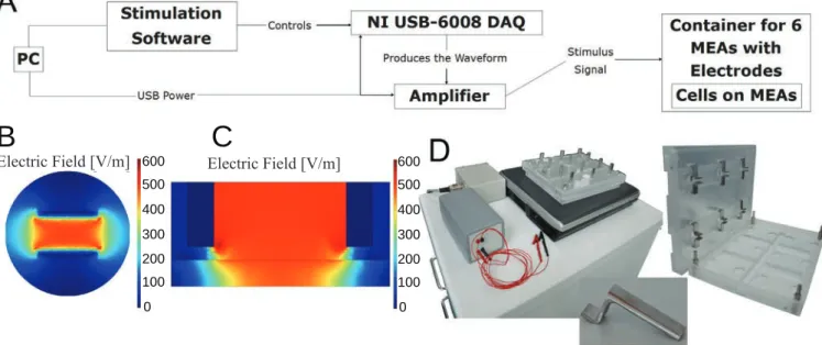 Figure 1.  (A) The stimulation system. The stimulation sequence is designed with PC software that controls the NI USB-6008 DAQ  device