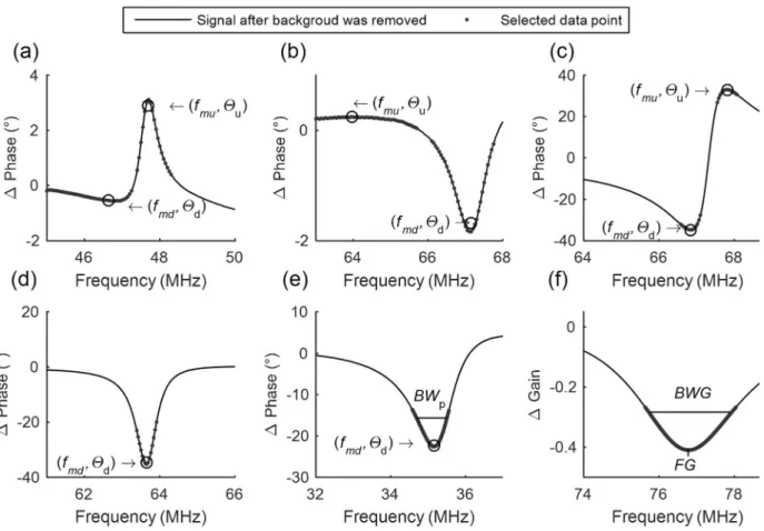 FIGURE  6. The features used to characterize the measured or simulated resonance curves.