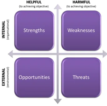 Figure 5  SWOT Analysis 