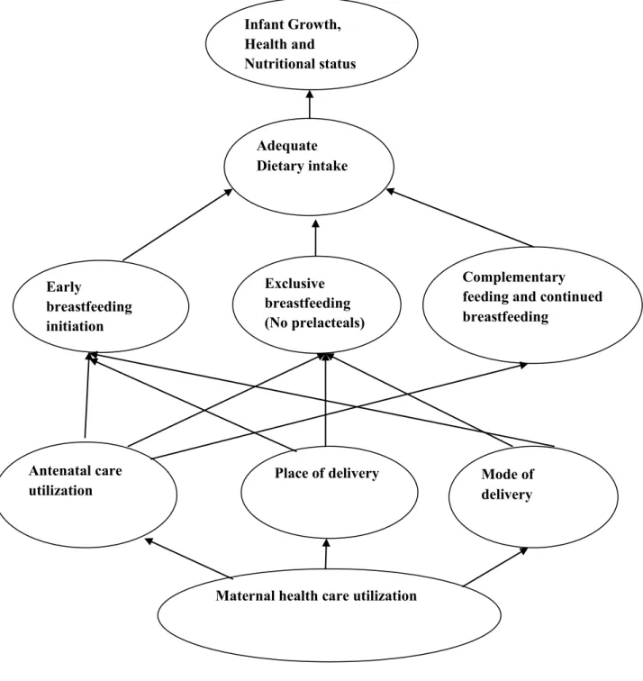 Fig 1: Conceptual framework of the components of maternal health care utilization and infant  feeding practices 
