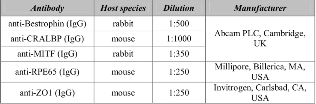 Table 4.3 Primary antibodies