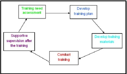 Figure 7. The training plan. Assessment, development, execution, evaluation 