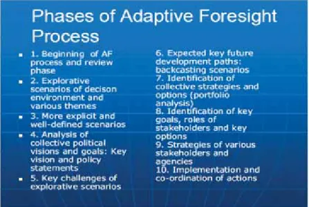 Figure 5: Phases of Adaptive Foresight Process in FREPLA2020 Project (Source: 
