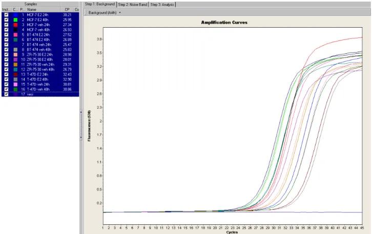 Figure 5: Screen capture from LightCycler® software depicting the amplification curves of E2 and vehicle treated MCF-7, BT-474, ZR-75-30 and T-47D cell lines at 24h and 48h, and their Ct values.