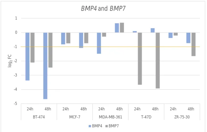 Figure 7:  Fold  changes  for  BMP4  and  BMP7 on a logarithmic scale. The orange line indicates a cut-off point for a fold change value considered as significant.