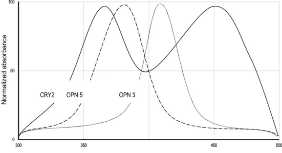 Figure 9.   Absorption spectrum of CRY2 when bound with FAD in its oxidized state, opsin 3 and  opsin 5 based on cell culture and tissue studies (Liu et al