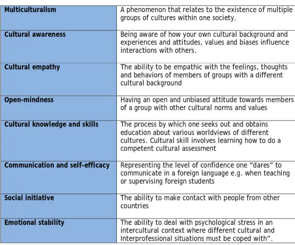 Table 3. Multicultural themes in Soulbus project