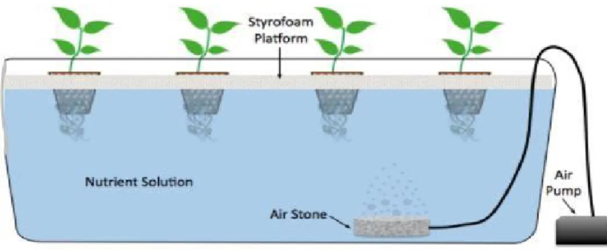 Figure 2. Deep Water Culture (Hydroculture &amp; Hydroponics, 2016) 