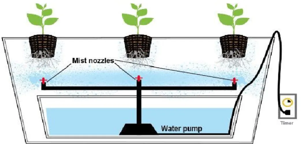 Figure 4. Aeroponic System (Medigrow Innovation, 2017) 