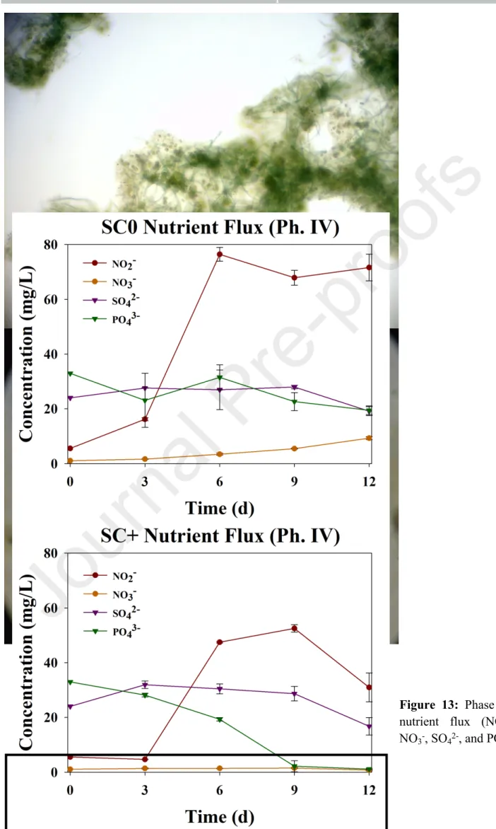 Figure  13:  Phase  IV  nutrient  flux  (NO 2 - ,  NO 3 - , SO 4 2- , and PO 4 