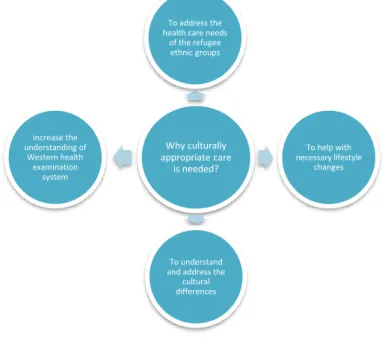 Figure 2: The reasons for needing culturally appropriate care 