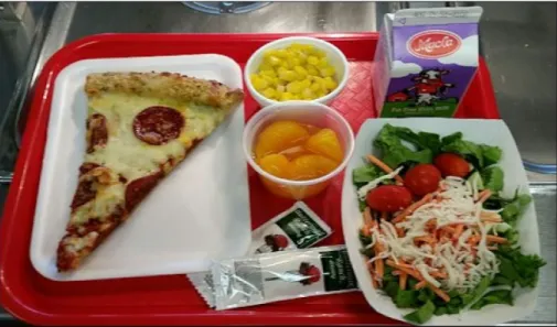 Figure 2: A typical school lunch in Virginia, USA (SaveUR 2017.) 