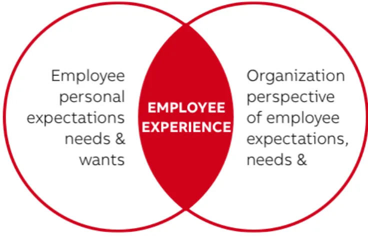 Figure 4: The different perspectives building employee experience (Morgan 2017, 8). 