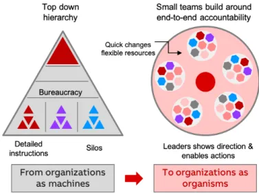 Figure 8: From organization as machine to organizations as organisms (Aghina, Smet, et