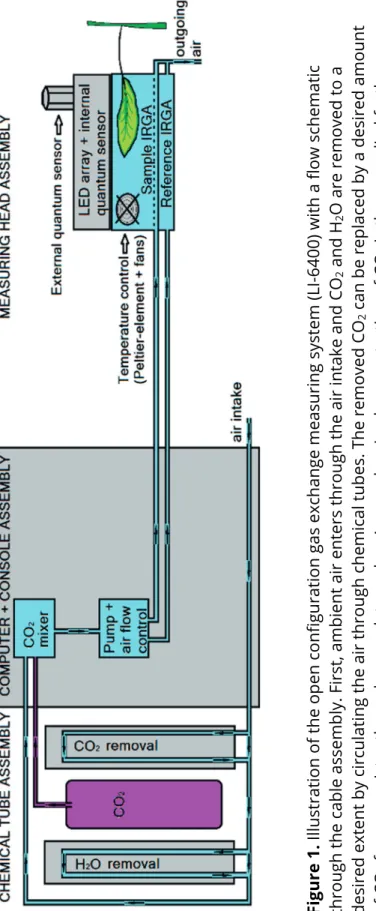 Figure 1. Illustration of the open configuration gas exchange measuring system (LI-6400) with a flow schematic  through the cable assembly