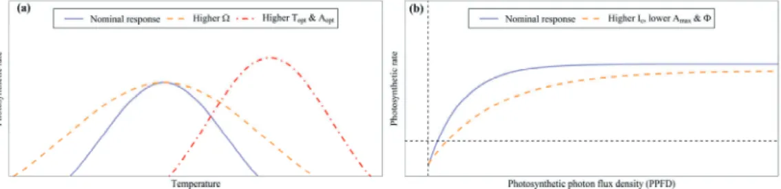 Figure 2. Acclimation/adaptation patterns of net photosynthetic rate to  temperature (A net  – T, equation 1) and light (A net  – PPFD, equation 2)