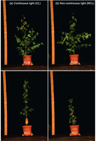 Figure 10. Example comparison of the same genotypes in (a) CL and (b)  NCL chosen to highlight the provenance differences in response to 