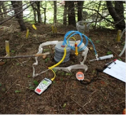Figure 3 Trenched study plot while sampling with the static enclosed chamber method.