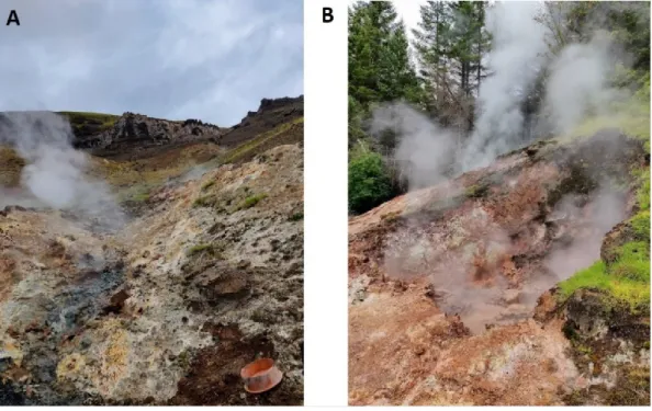 Figure 4 Geothermal vents. A is near the GO study site and B is near the FN site. 