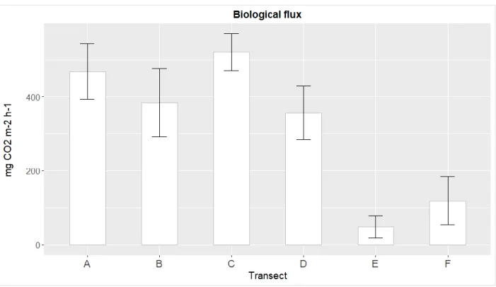 Figure 7 Biological CO 2  flux (mg CO 2  m -2  h -1 ) in temperature transects A-F of a Sitka spruce forest in Iceland