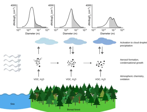 293  Fig. 4 Schematic representation of processes affecting aerosols and clouds during an 