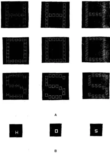 Fig. 2.1.1: The experimental stimuli used in Navon (1997) [1]