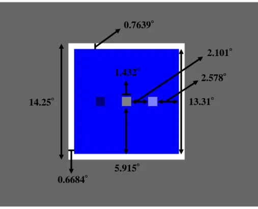Figure 3.2.4 shows the stimulus sizes used in the experiment.