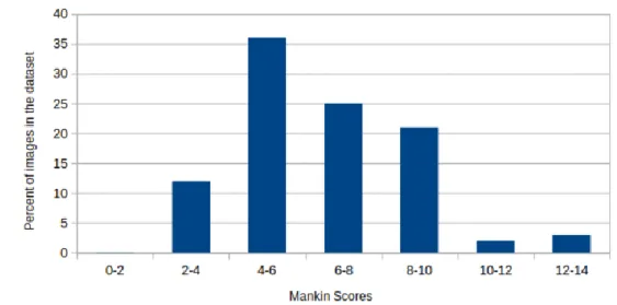 Figure 6.4: Distribution of scores in the dataset. 