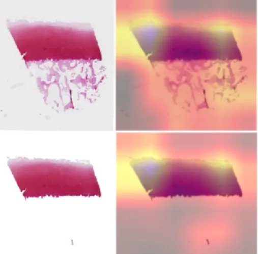 Figure 7.8: Visualization of activations in different layers (Mankin). 