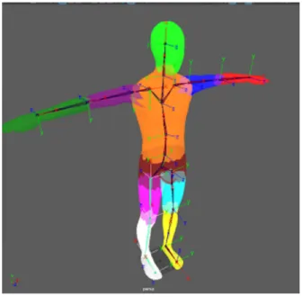Figure 9: Human model