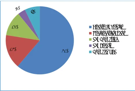 Figure 2: Share of different types of instruments (n.b. share in number of instruments  and not in terms of budgets)