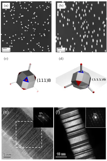 Figure 4.8: SEM image of InP nanowires grown on (111)B substrate at (a) 0 ◦ tilt and (b) 15 ◦ tilt