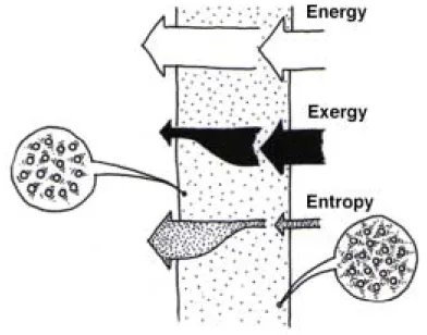 Fig. 1. Energy, exergy, and entropy flow in and out a building envelope system. The amounts of energy flowing in and out are the same under thermally steady-state condition according to the law of energy conservation; on the other hand, the amount of entro