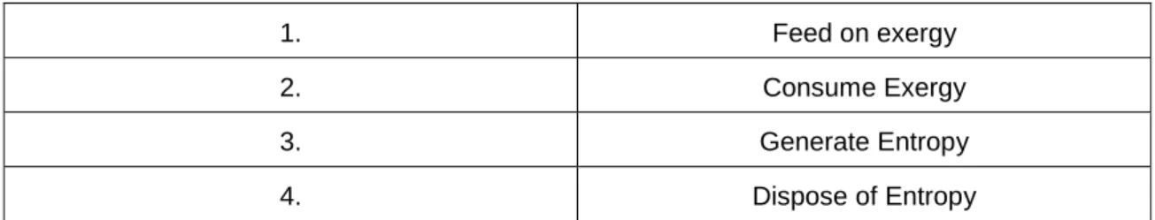 Table 1. Four Steps of Exergy-Entropy Process.