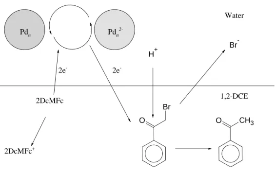 Figure 1: Schematic presentation of the dehalogenation reaction studied in publication V.