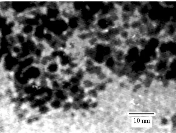 Figure 7: TEM photograph of the particles. The bar in the lower right corner corresponds to 10 nm