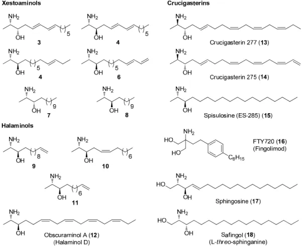 Figure 2. Sphingoid bases and therapeutical agents. 