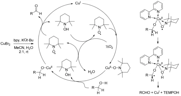 Table 6. Kinetic isotope effect and Hammett ρ-values for the oxidation of benzyl  alcohols