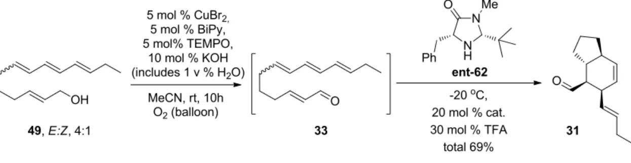 Figure 10. Ligands used by us and Brackman et al. 149a  in oxidation studies. 
