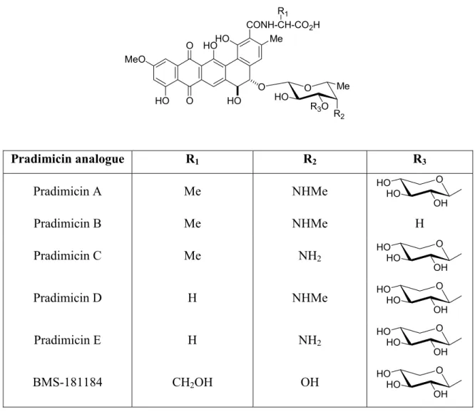 Figure 1. Structures of some pradimicin analogues. 