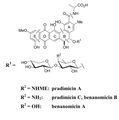 Figure  12.    R 2  = NHME:  pradimicin A  