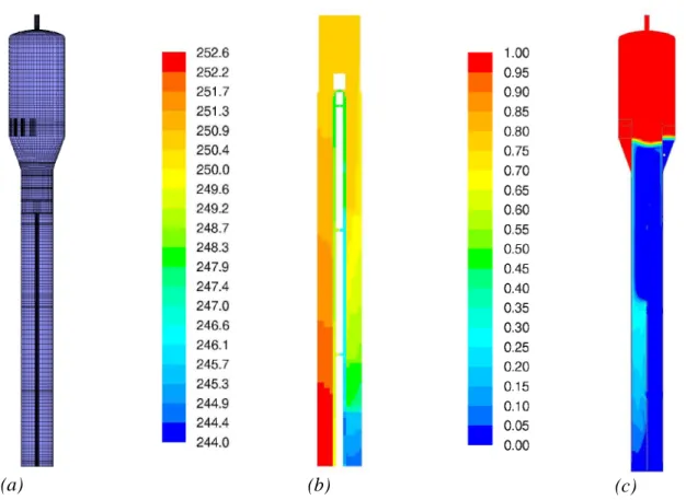 Figure 2.4.3.2. (a) Surface mesh of the CFD model for the PWR-PACTEL steam generator. 