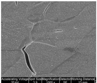 Figure 2.6.6.1. Pre-deformed (~30%) Type 304 SSRT specimen tested with a strain rate <10 -7  s -