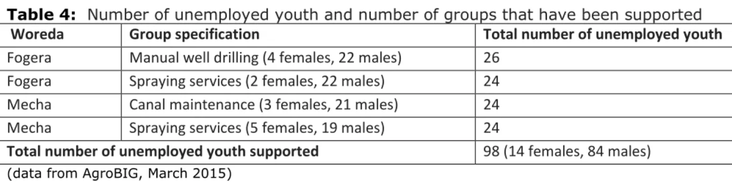 Table 4:  Number of unemployed youth and number of groups that have been supported 