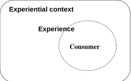 Figure 1 Focus layers of the study 