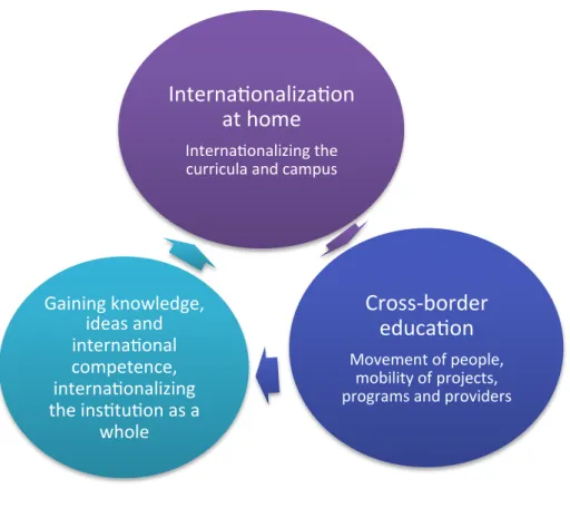 Figure 2: Internationalizing the institution comprehensively 