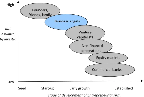 Figure 2. The role of business angels on the firm’s development (source Vasilescu 2009) 