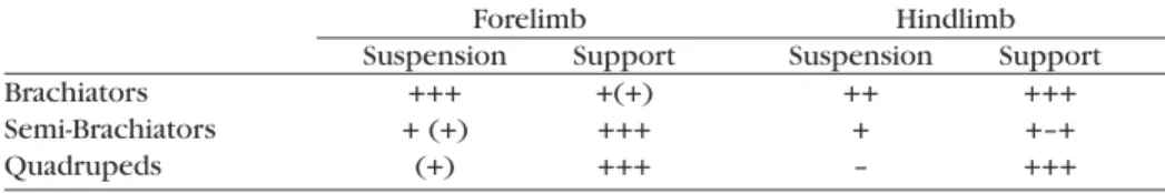 Table l. Limb Function in Monkeys and Apes (after Napier, 1964)
